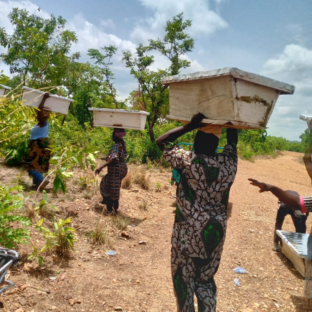 Bouzalou : vingt jeunes formés à l'apiculture pour renforcer les moyens de subsistance de la communautés locales img 20240412 121118 557